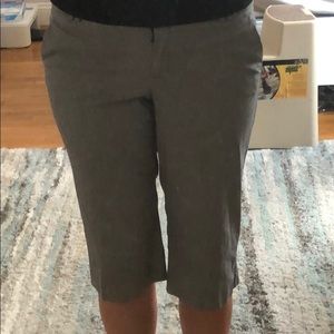 {New York and company} dress shorts